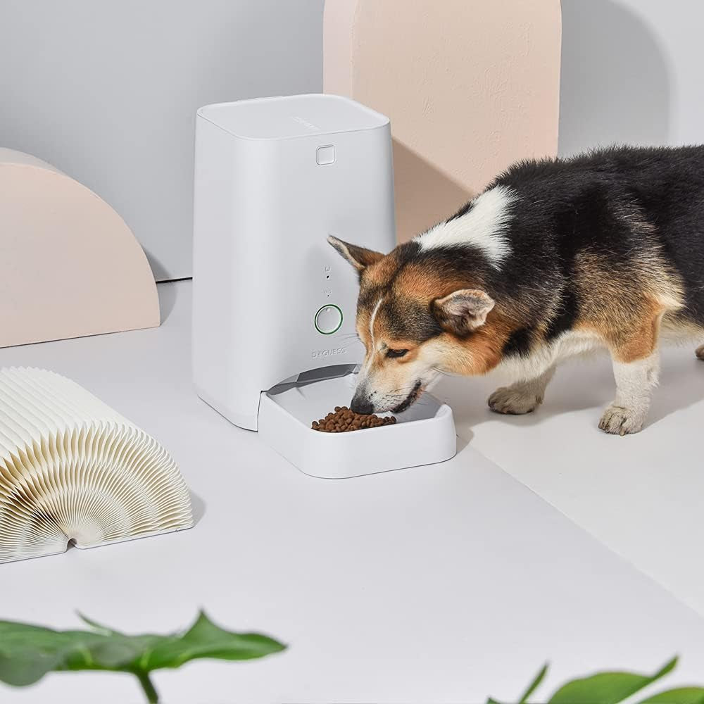 Feed Automatic Dog Feeder