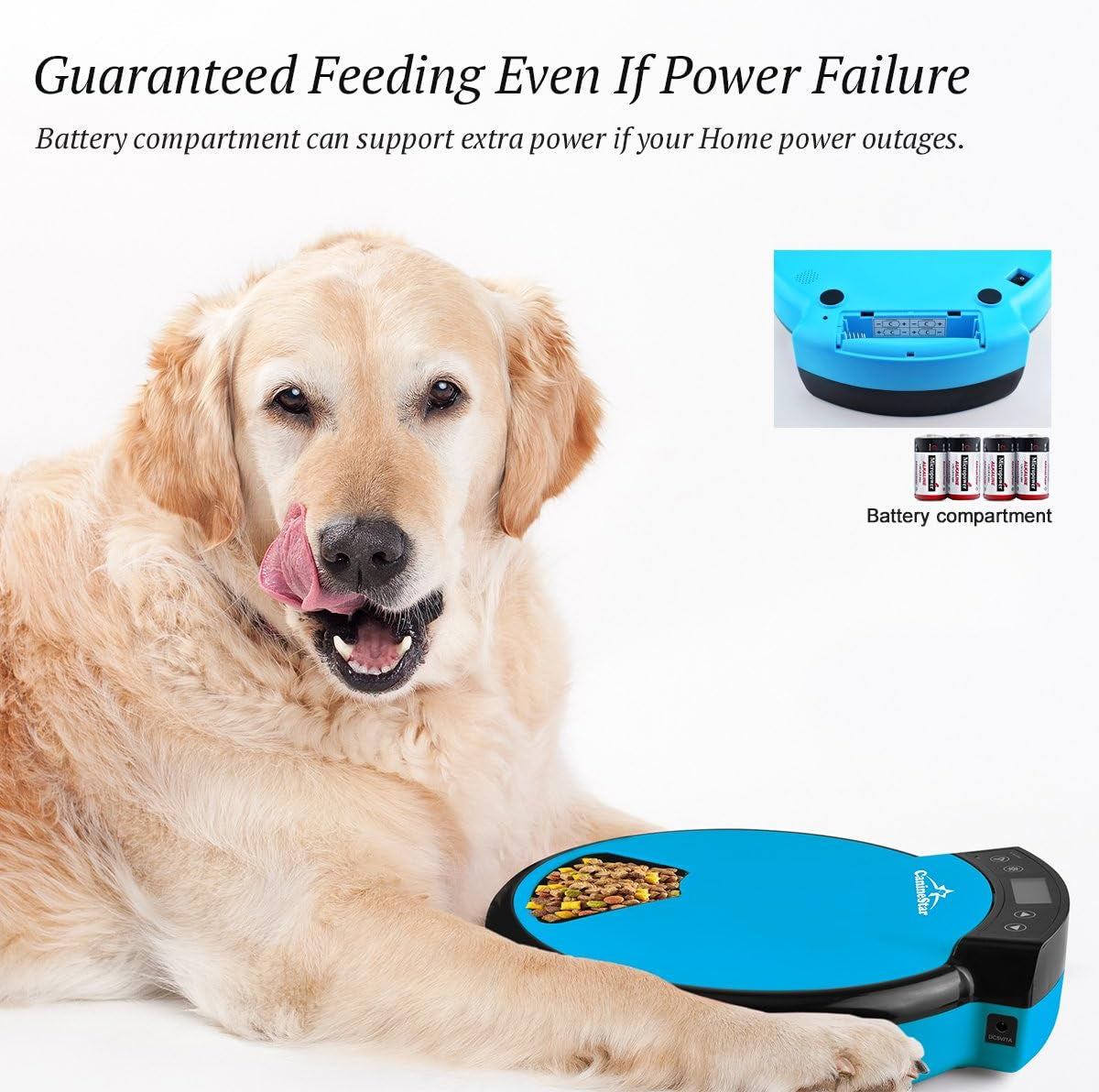 Automatic Pet Feeder for Cats Dogs, 5 Meal Food Dispenser Trays Cat Feeder Dry Wet Food Auto Feeder by Caninestar (Blue)