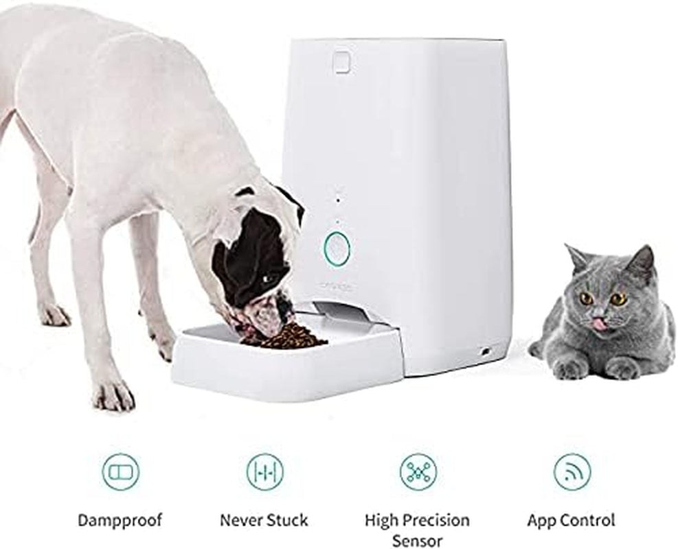 Feed Automatic Dog Feeder