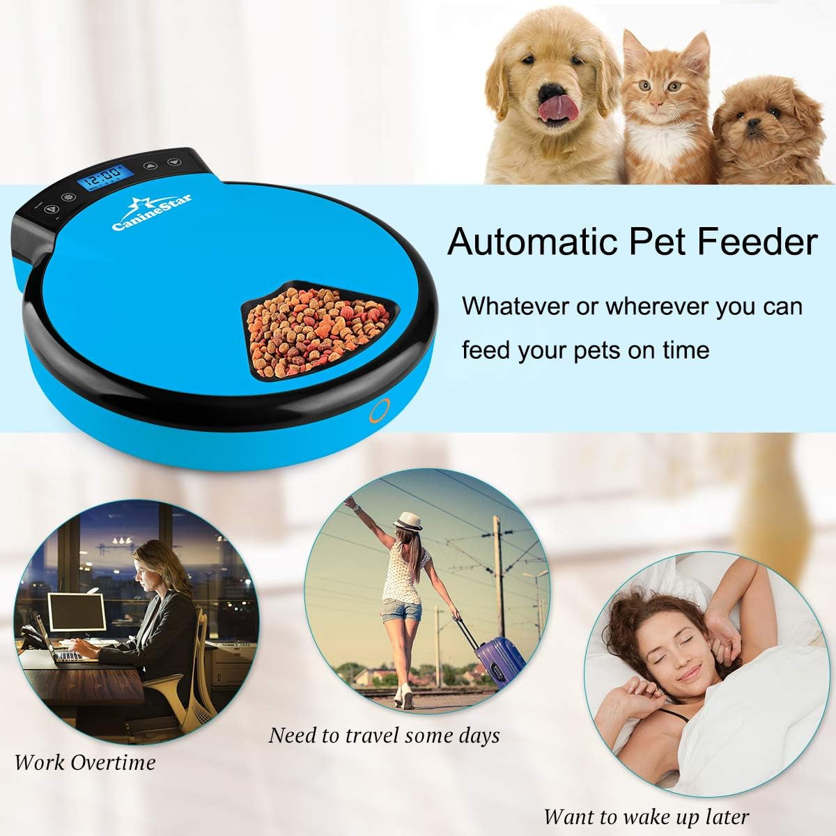 Automatic Pet Feeder for Cats Dogs, 5 Meal Food Dispenser Trays Cat Feeder Dry Wet Food Auto Feeder by Caninestar (Blue)
