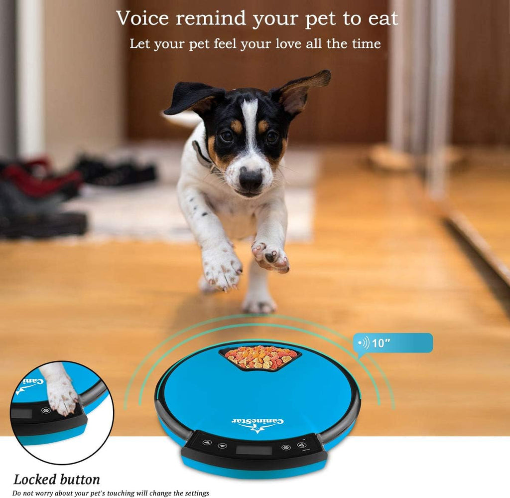 Automatic Pet Feeder for Cats Dogs, 5 Meal Food Dispenser Trays Cat Feeder Dry Wet Food Auto Feeder by Caninestar (Blue)