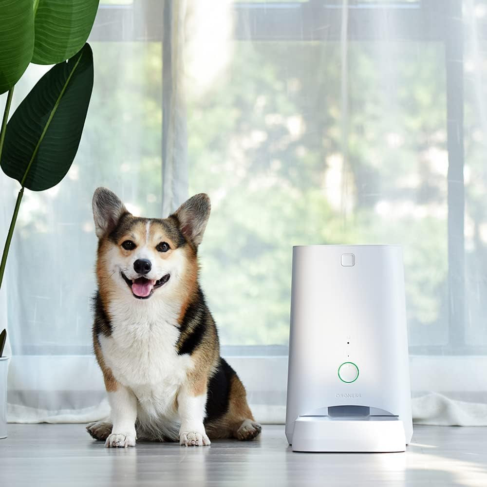 Feed Automatic Dog Feeder