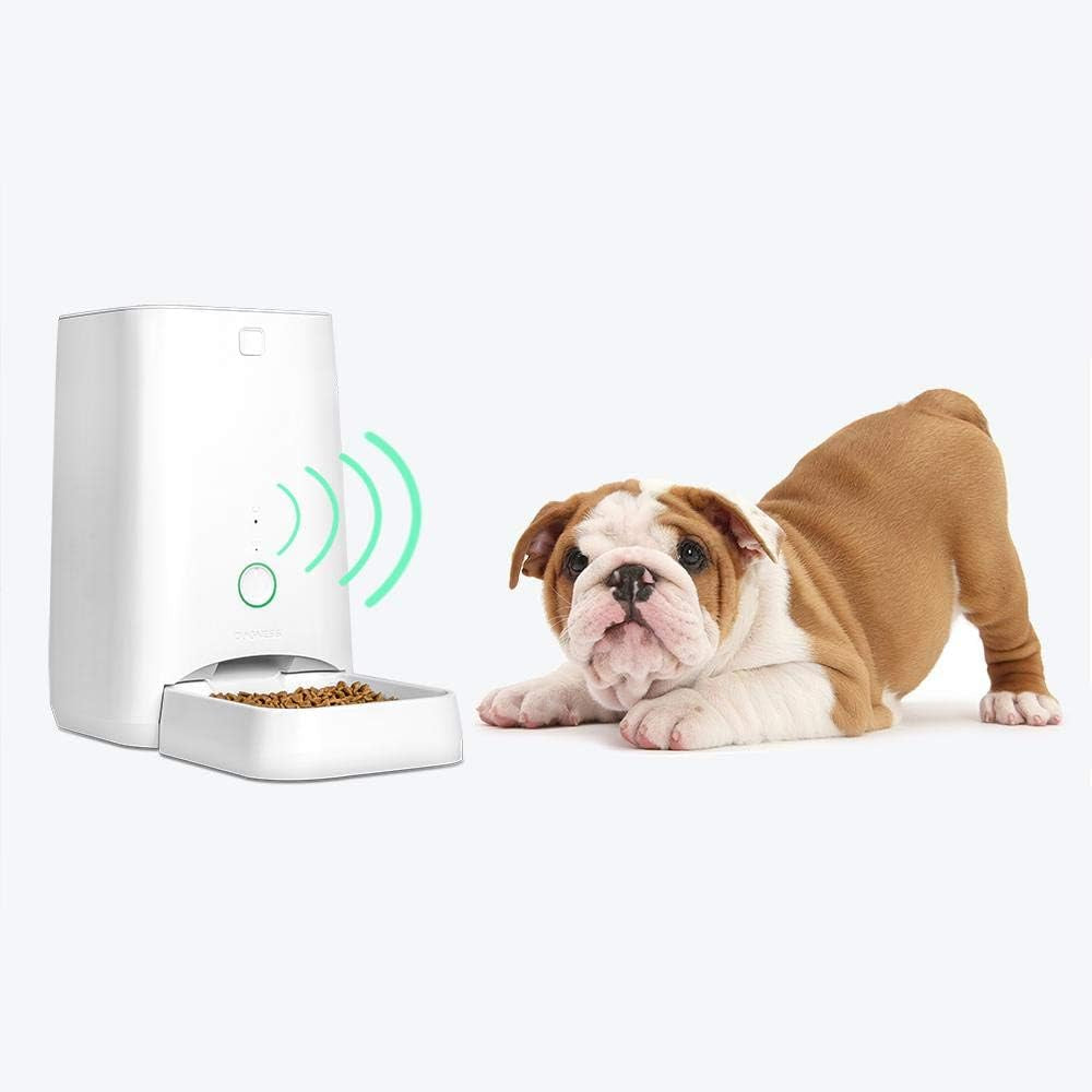 Feed Automatic Dog Feeder